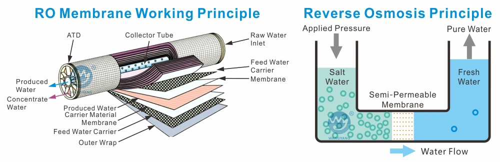 Industry Seawater Desalination RO Ultrafilter Filter Machine